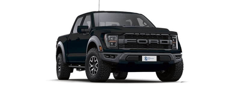 Pickup Camion Ford F-150 Black