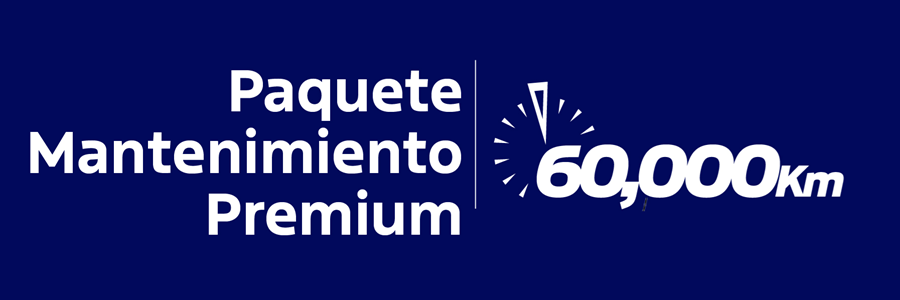 Paquete Manetnimiento Ford Premium Panamá